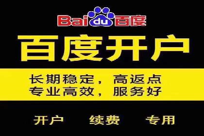 案例研究：百度推广托管助力电商品牌快速崛起